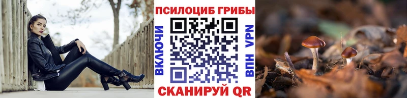 Галлюциногенные грибы Magic Shrooms Нюрба